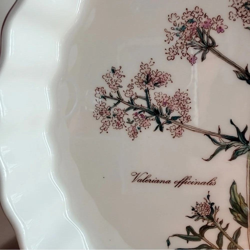 Villeroy & Boch Luxembourg Vilbofour Botanica 9 1/2